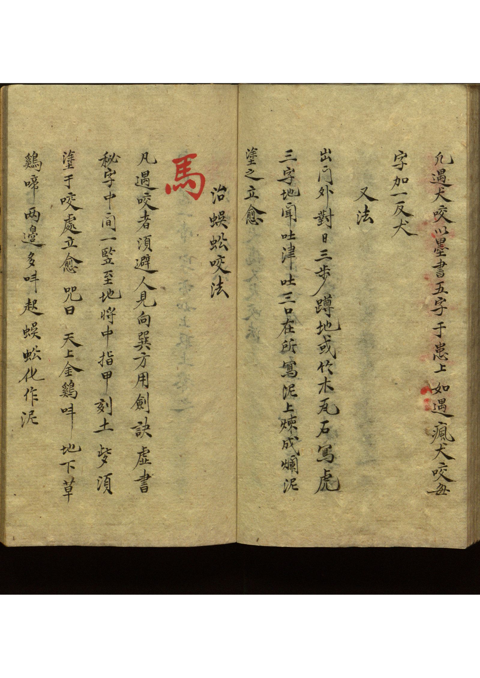 影印第19页